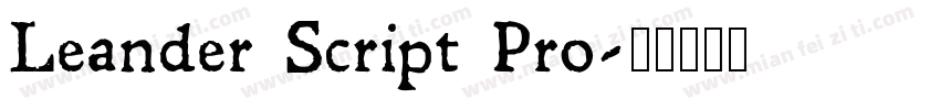 Leander Script Pro字体转换